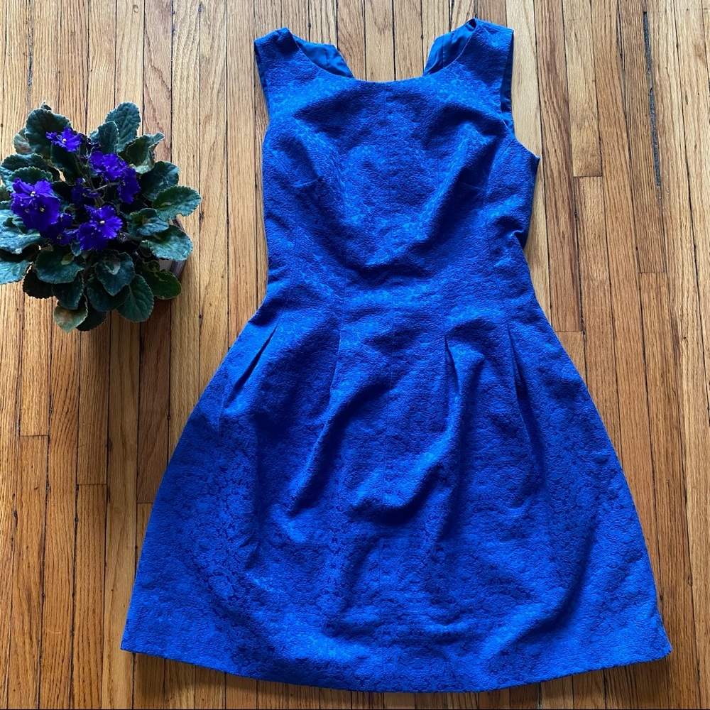 Lace Circle Dress, Royal Blue Gold Accent Zipper, Balletcore, Boutique